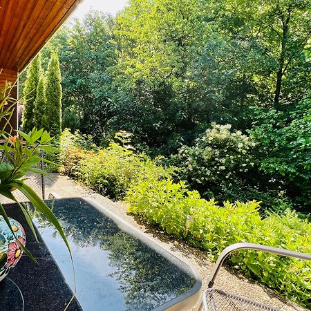 Vor Lauter Baeumen B&B Zorge Esterno foto