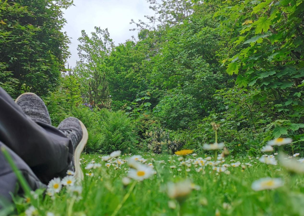 Vor Lauter Baeumen B&B Zorge Esterno foto