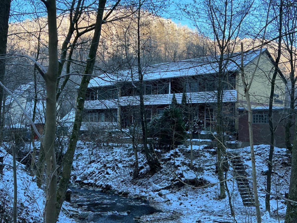 Vor Lauter Baeumen B&B Zorge Esterno foto