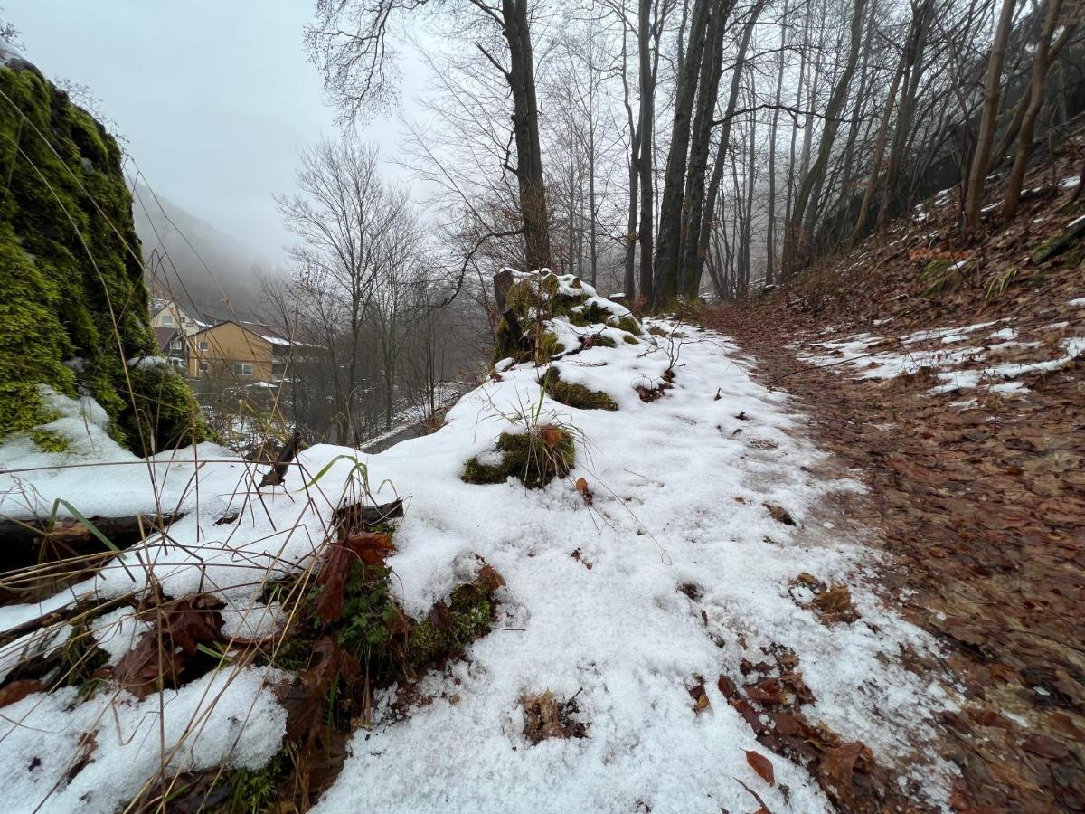 Vor Lauter Baeumen B&B Zorge Esterno foto
