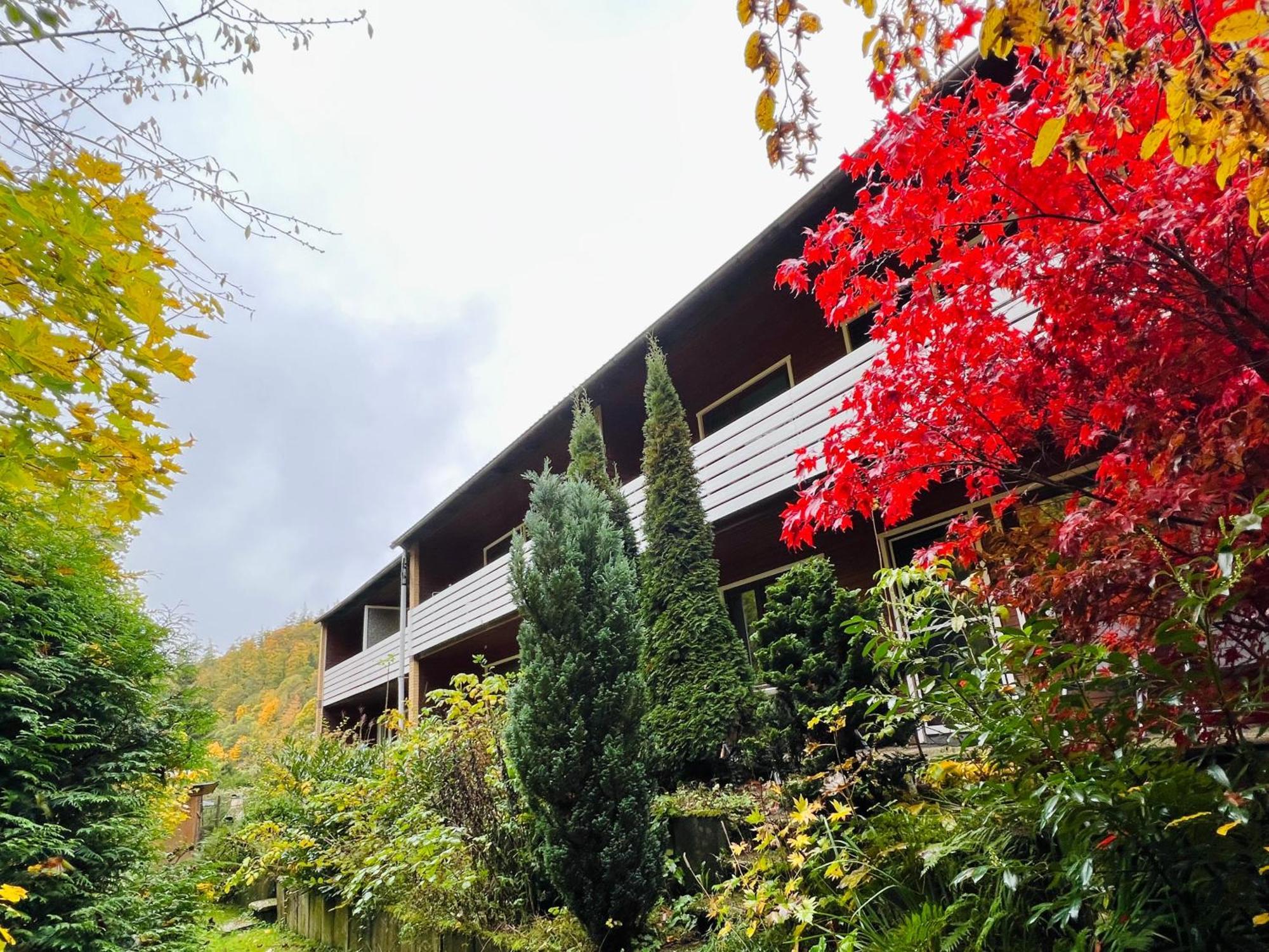 Vor Lauter Baeumen B&B Zorge Esterno foto