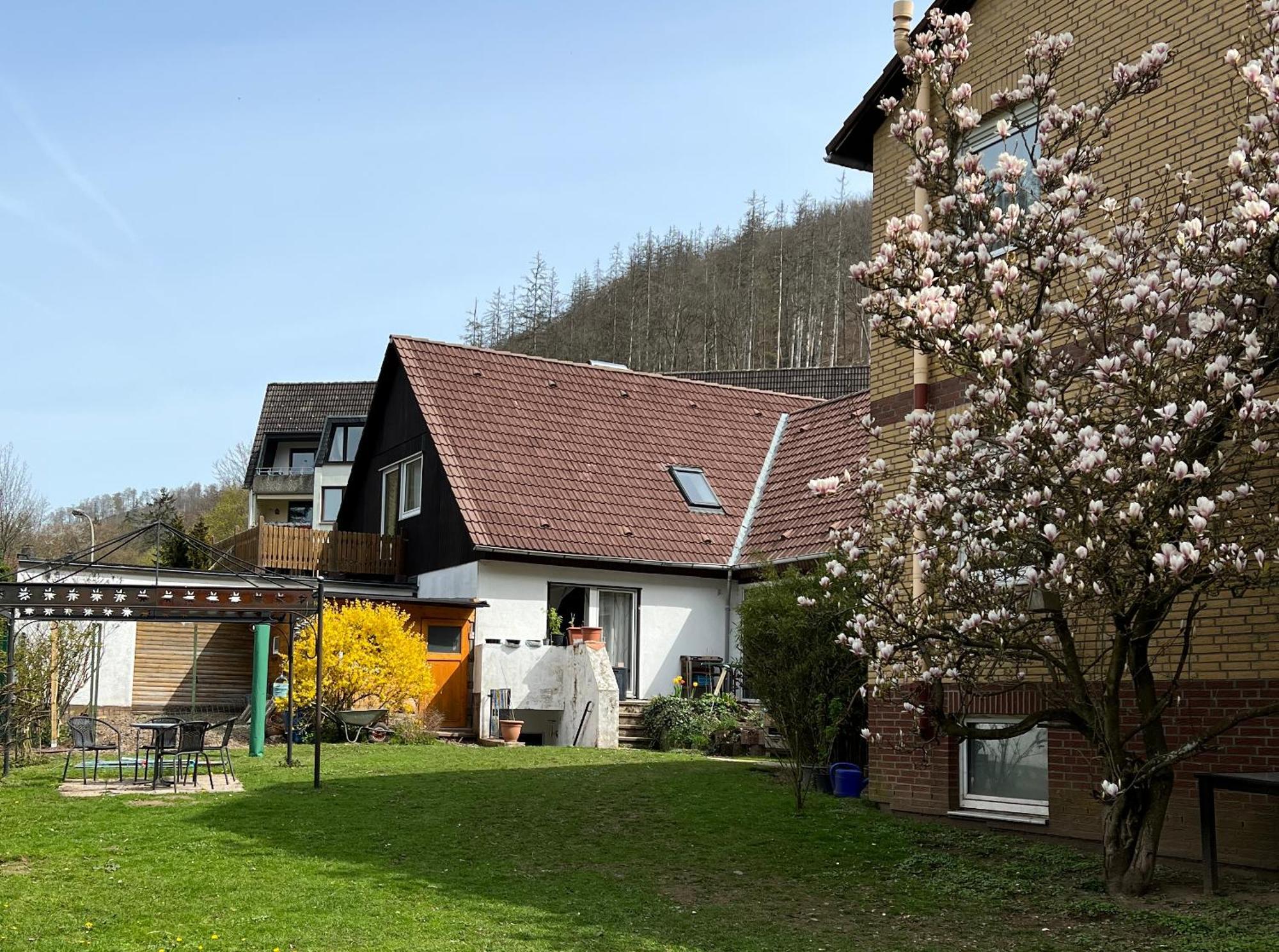 Vor Lauter Baeumen B&B Zorge Esterno foto