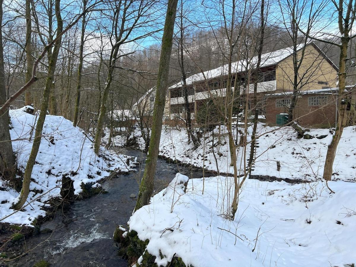 Vor Lauter Baeumen B&B Zorge Esterno foto